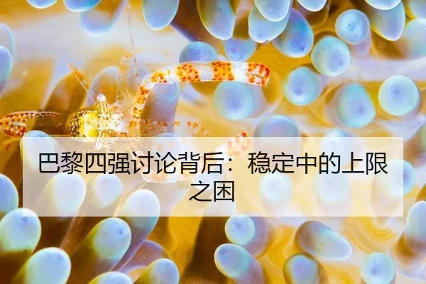 巴黎四强讨论背后：稳定中的上限之困